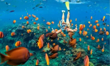 Underwater Snorkeling with Colorful Fishes in Clear Tropical Waters