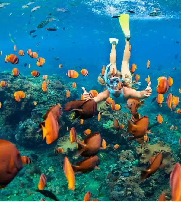 Underwater Snorkeling with Colorful Fishes in Clear Tropical Waters