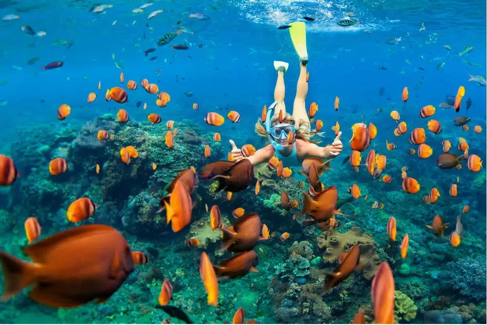 Underwater Snorkeling with Colorful Fishes in Clear Tropical Waters