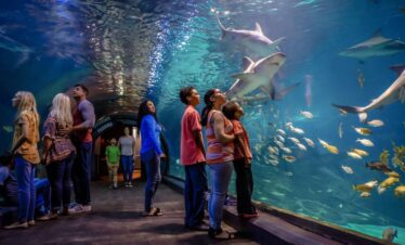 Visitors walking through the acrylic tunnel at Underwater World Pattaya