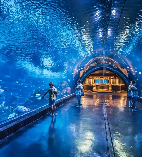 Visitors walking through the underwater tunnel at Aquaria Phuket surrounded by sharks and marine life.