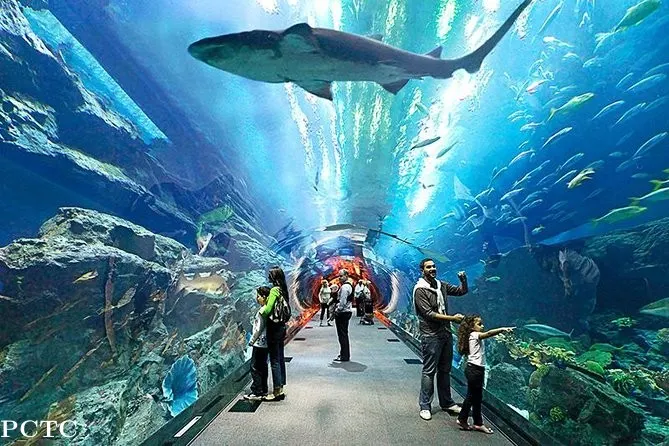 Sharks and stingrays on display in the aquarium’s Shark Zone