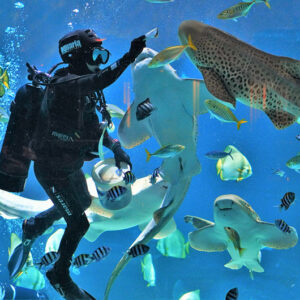 Aquaria Phuket Entry Ticket