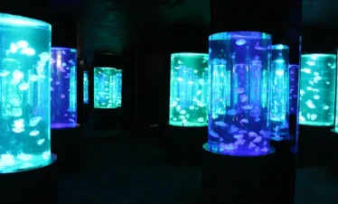 Beautiful glowing jellyfish at Underwater World Pattaya