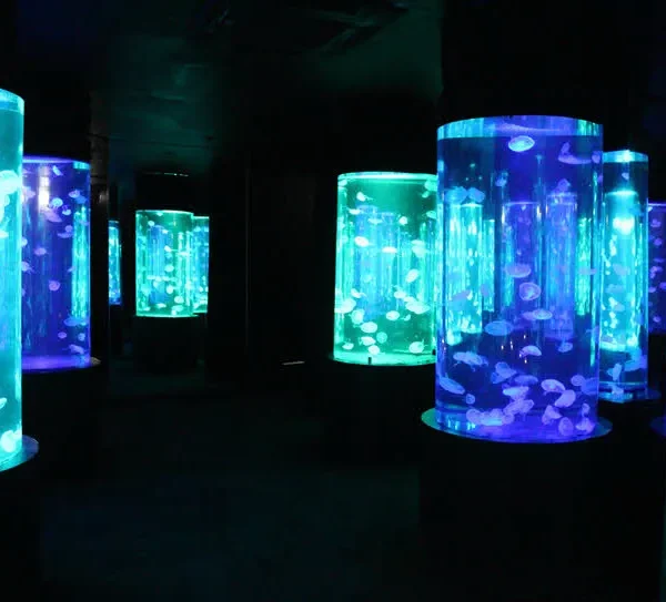 Beautiful glowing jellyfish at Underwater World Pattaya