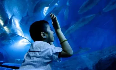 Child enjoying the interactive touch glass at Underwater World Pattaya