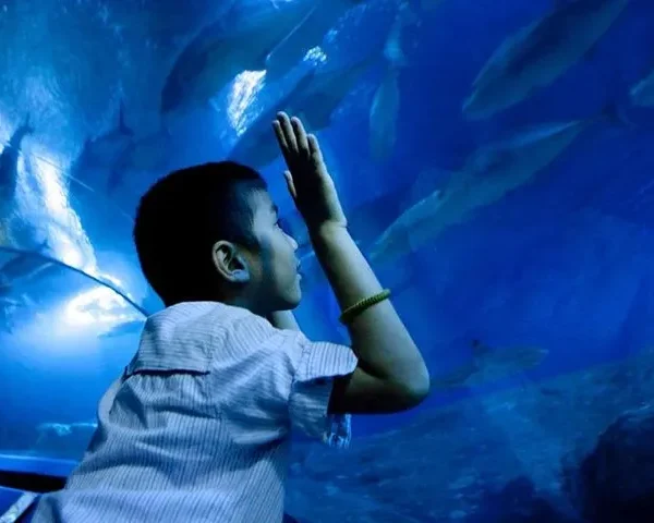 Child enjoying the interactive touch glass at Underwater World Pattaya