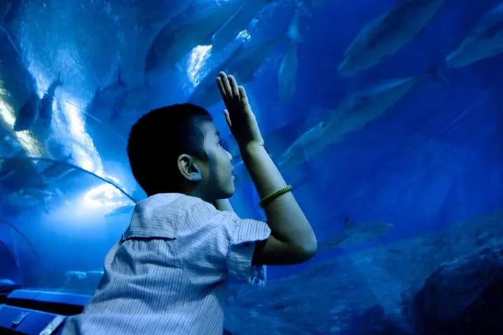 Child enjoying the interactive touch glass at Underwater World Pattaya