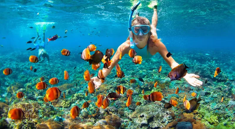 Tourist woman snorkeling underwater at Coral Island Pattaya, exploring marine life