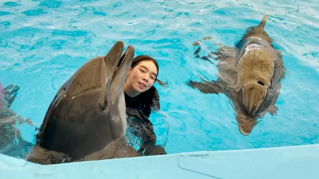 Swimming with dolphins experience in Pattaya Dolphinarium