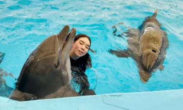 Swimming with dolphins experience in Pattaya Dolphinarium