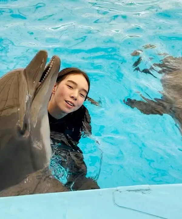 Swimming with dolphins experience in Pattaya Dolphinarium