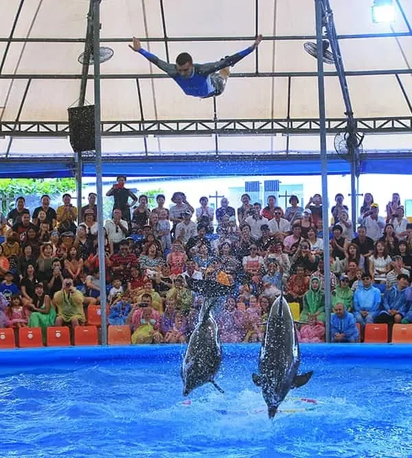 VIP first-row seating at Pattaya Dolphinarium