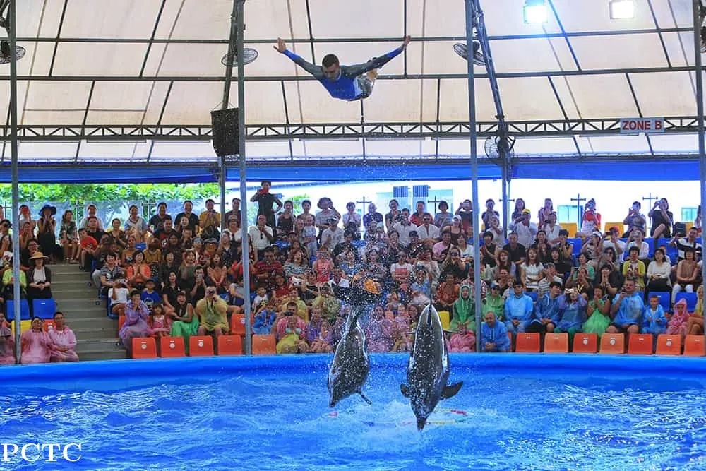 VIP first-row seating at Pattaya Dolphinarium