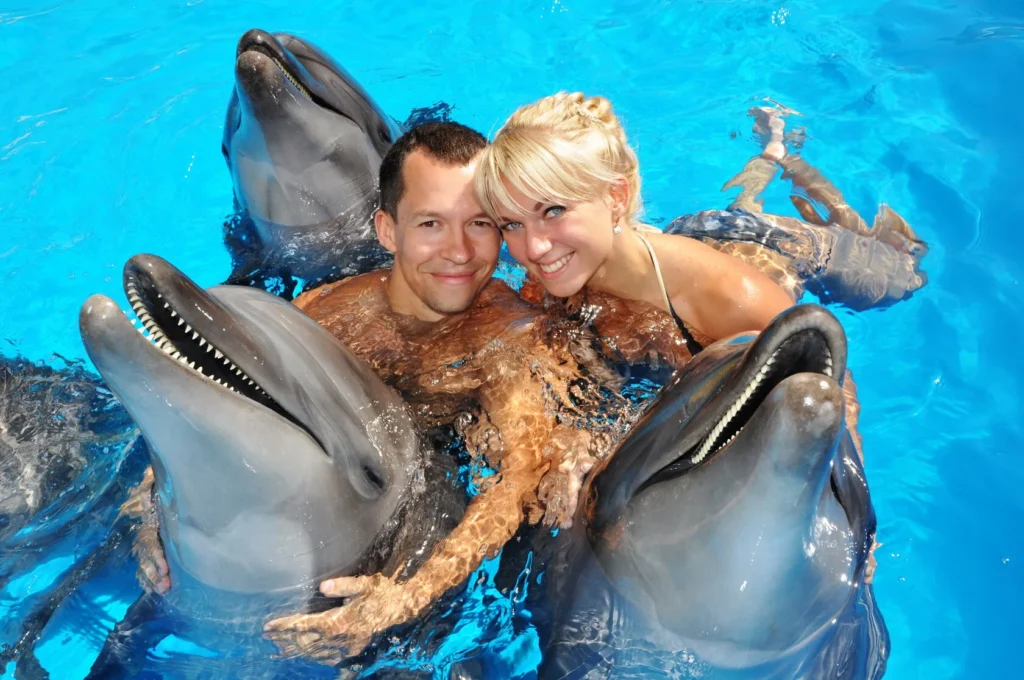 Tourist posing with a dolphin inside the water at Dolphin Show Phuket