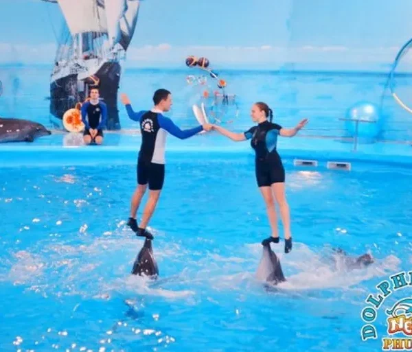 Man and woman riding on dolphins during a live show at Dolphin Show Phuket