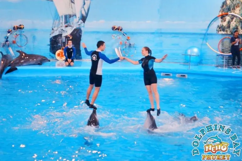 Man and woman riding on dolphins during a live show at Dolphin Show Phuket