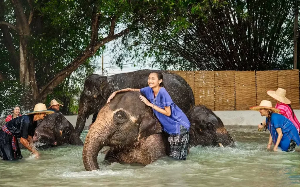 Tourists and elephants enjoying and playing together in the water at Bangkok Elephant Park
