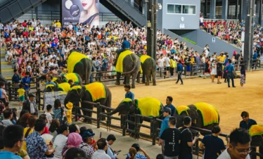 Elephant show with trained elephants performing at Nong Nooch Garden Pattaya