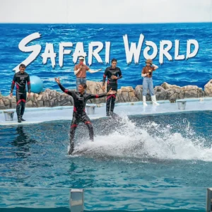 Dolphins performing acrobatic jumps during the Dolphin Show at Safari World Bangkok in front of a cheering crowd.