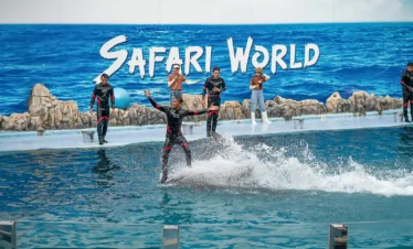 Dolphins performing acrobatic jumps during the Dolphin Show at Safari World Bangkok in front of a cheering crowd.