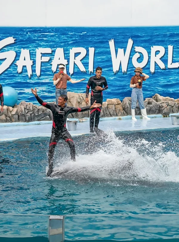 Dolphins performing acrobatic jumps during the Dolphin Show at Safari World Bangkok in front of a cheering crowd.