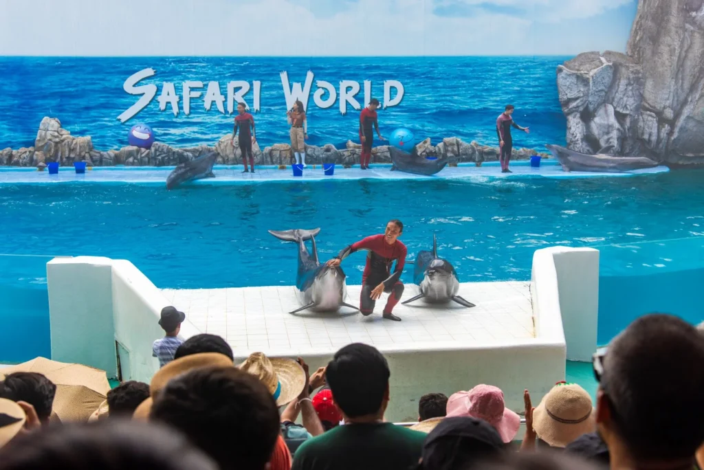 A dolphin leaping through a hoop mid-air during a live performance at Safari World Bangkok with trainers nearby.