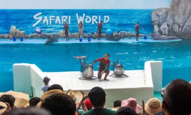 A dolphin leaping through a hoop mid-air during a live performance at Safari World Bangkok with trainers nearby.