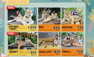 Tiger Park Pattya showing price with big tgier medum ticker and other