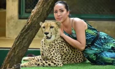Tourist sitting next to a cheetah under staff supervision