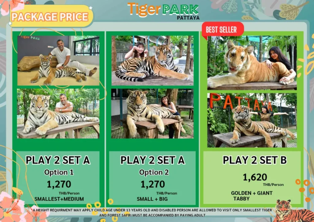 Tiger park pattaya costing options 1 play with tiger