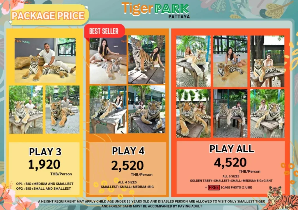 Tiger park Pattaya play with tiger costing option 2