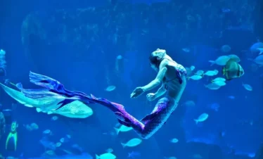 Mermaid statue inside Aquaria Phuket aquarium