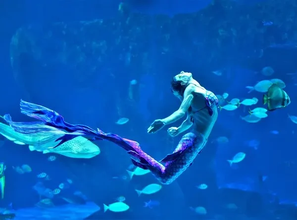 Mermaid statue inside Aquaria Phuket aquarium