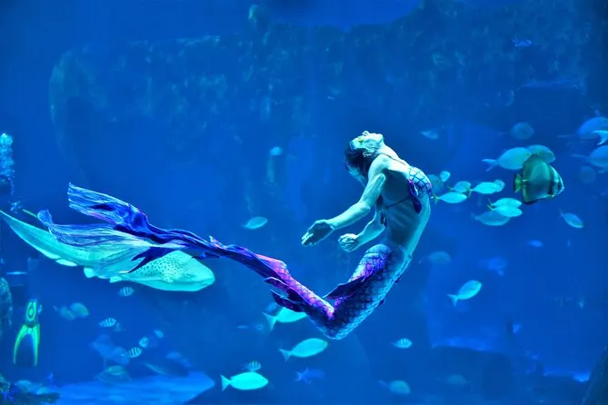 Mermaid statue inside Aquaria Phuket aquarium