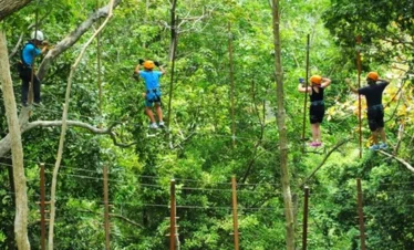 Tarzan Adventure Phuket zipline and jungle rope course activities