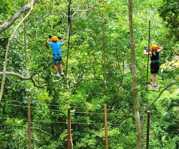 Tarzan Adventure Phuket zipline and jungle rope course activities