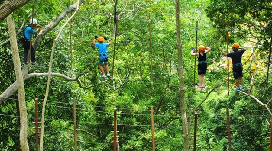 Tarzan Adventure Phuket zipline and jungle rope course activities