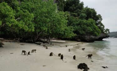 Monkey Beach Phi Phi Islands