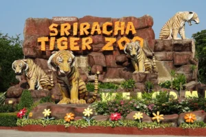 Tiger Topia Zoo Pattaya Thailand Entrance