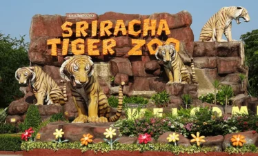 Tiger Topia Zoo Pattaya Thailand Entrance