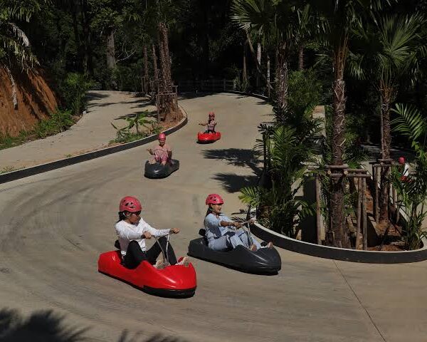 Gravity-powered mountain cart ride with panoramic mountain views in Phuket